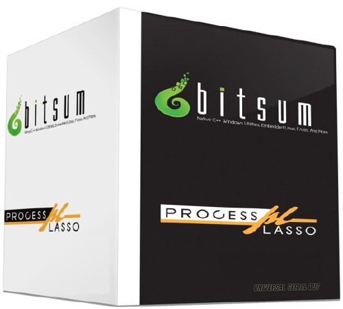 Process Lasso Pro 8.9.6.6 Final + Portable