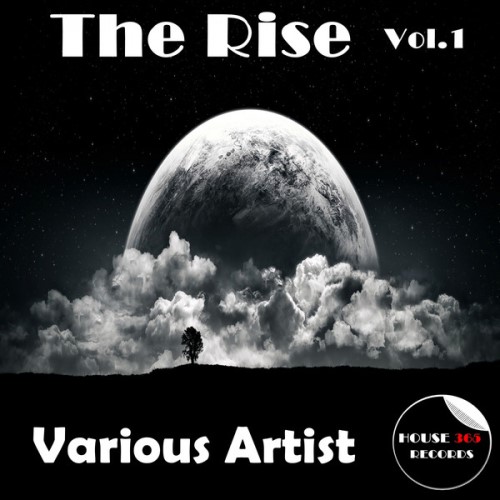VA - The Rise Vol.1 (2013)