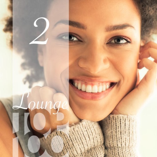 VA - Lounge Top 100 Vol. 2 (2013)
