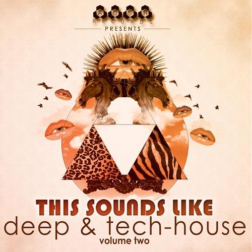 This Sounds Like Deep & Tech-House Vol.2 (2014) MP3  