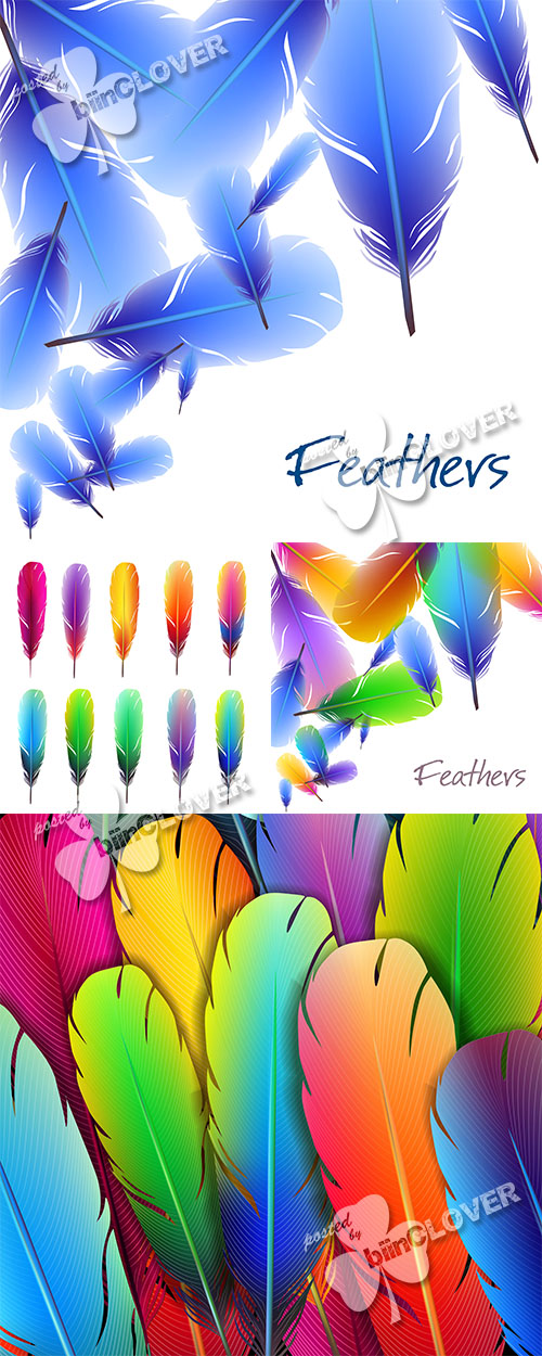 Background with colorful feathers 0559