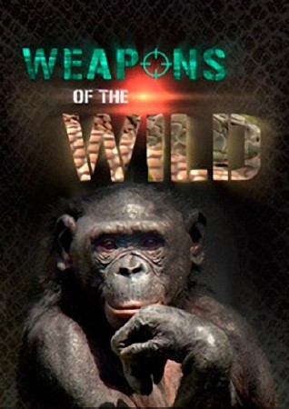  .   / Weapons of the Wild. Unseen Forces (2012) SATRip (AVC)