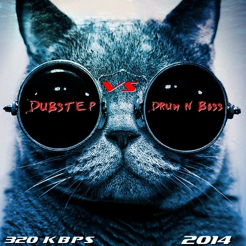 Dubstep vs Drum N Bass (January 2014)