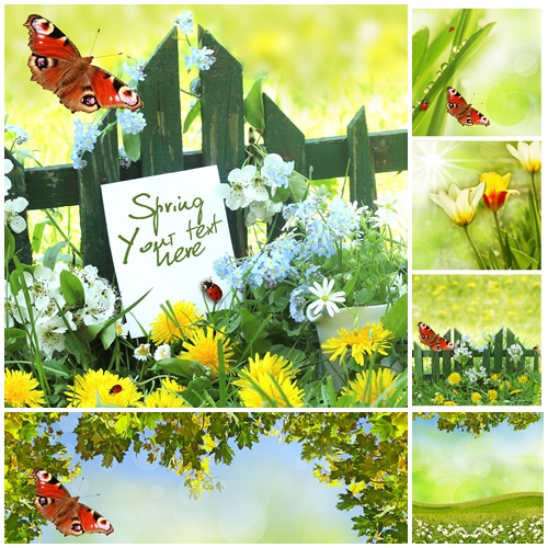 Fresh Spring background - stock photo