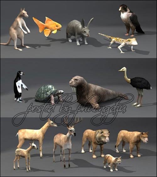 Unity 3D beasts & Animals