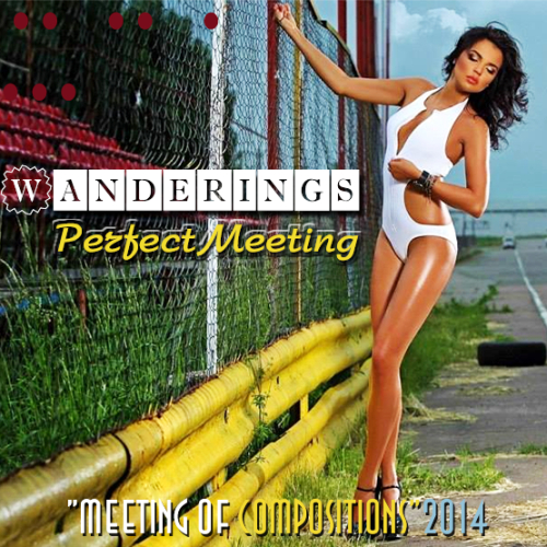VA - Wanderings Perfect [Meeting of Compositions] 2014