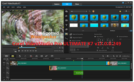 Corel VideoStudio Pro ULTIMATE X7 v17.0.0.249 Multilingual (x86/x64)
