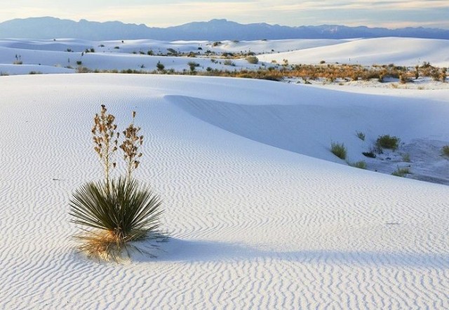Необычная пустыня Белых Песков (фото) - фото 1