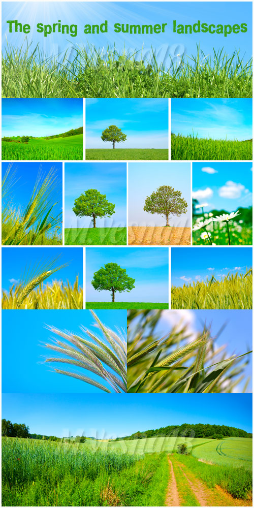    ,   / The spring and summer landscapes, raster clipart