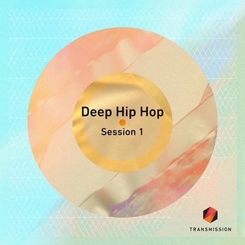 Transmission Loops Deep Hip Hop Session 1 MULTiFORMAT-MAGNETRiXX
