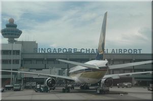 Игра для пассажиров в Сингапурском аэропорту