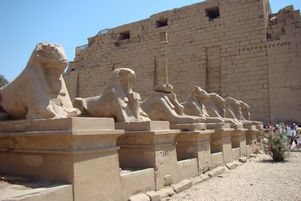 Египет: турфирмы не возят туристов на экскурсии в Луксор и Асуан