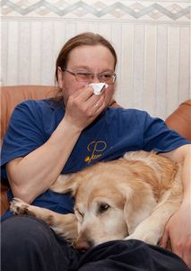 ТОП-18 гипоаллергенных пород собак