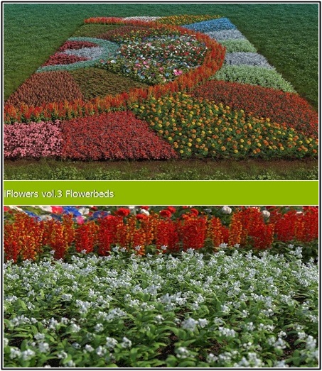 [3DMax] R&D Group iFlowers vol 3 Flowerbeds
