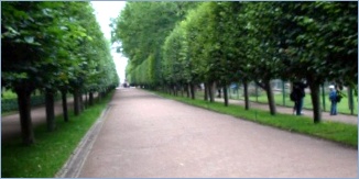 Марлинская аллея в Петергофе - Marlinskaja alley in Peterhof