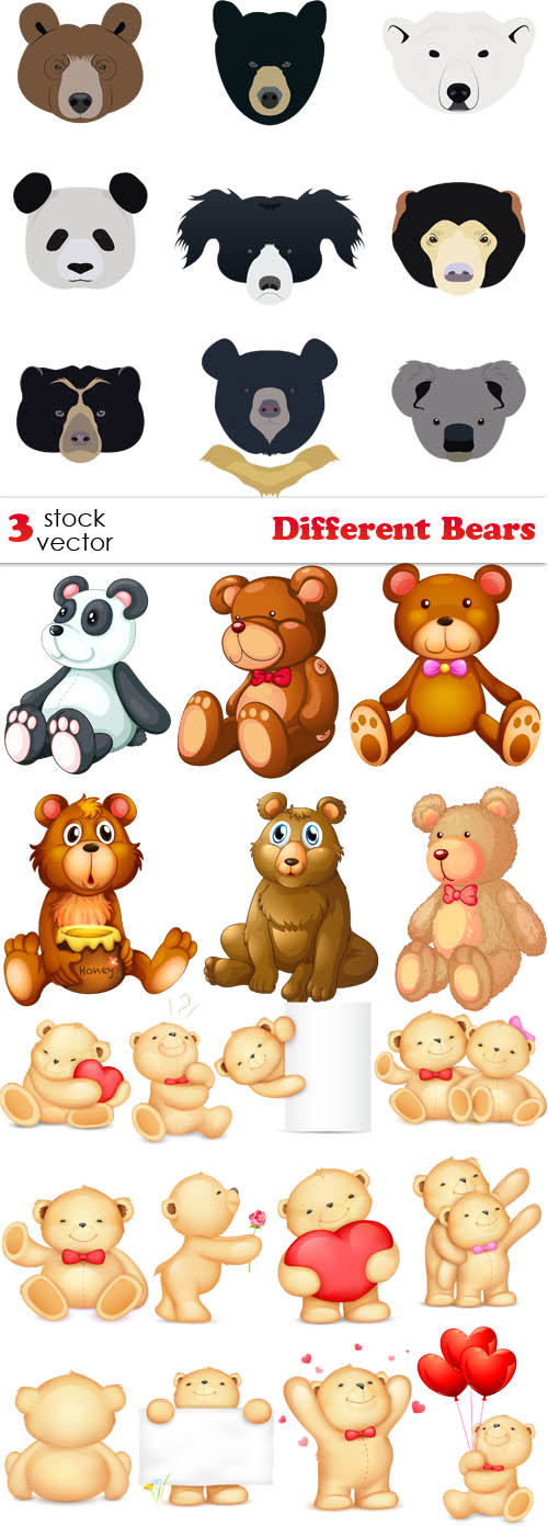 Vectors - Different Bears 2