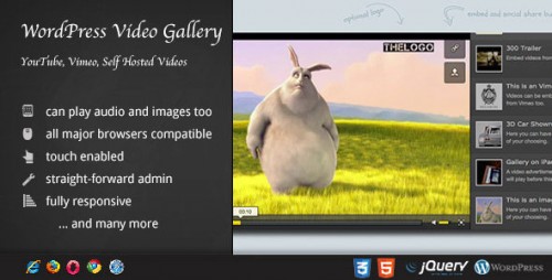 Video Gallery WordPress Plugin /w YouTube, Vimeo v8.10  