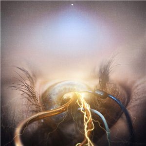 The Agonist - Eye Of Providence (2015)