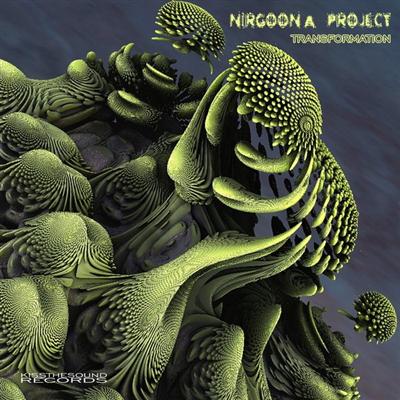 Nirgoona Project - Transformation (2015)