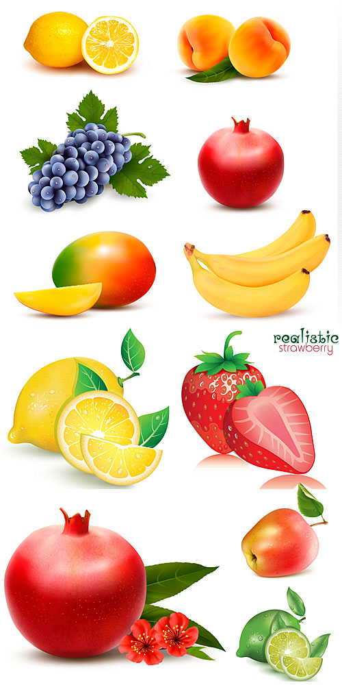 Vector fresh fruits and berries, pomegranates, grapes, strawberries