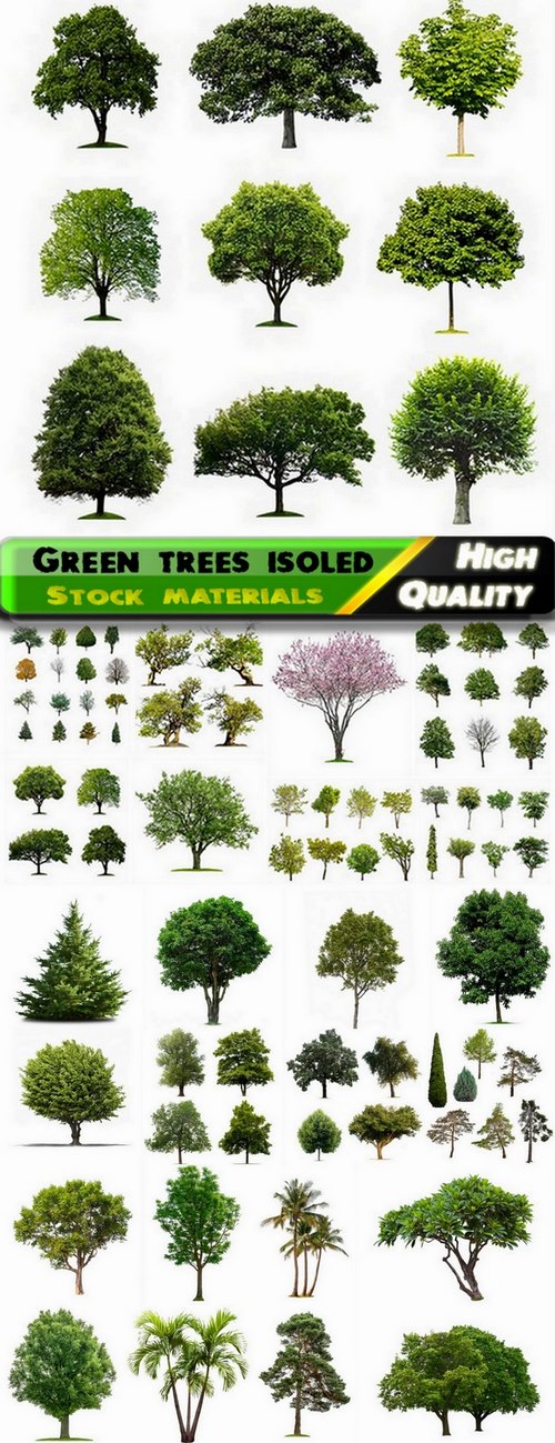 Set of different green trees and bushes - 25 HQ Jpg