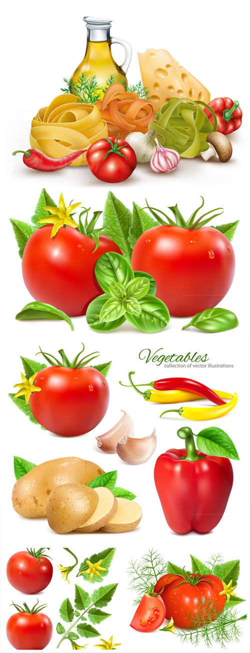 Tomatoes, cheese, pepper vector