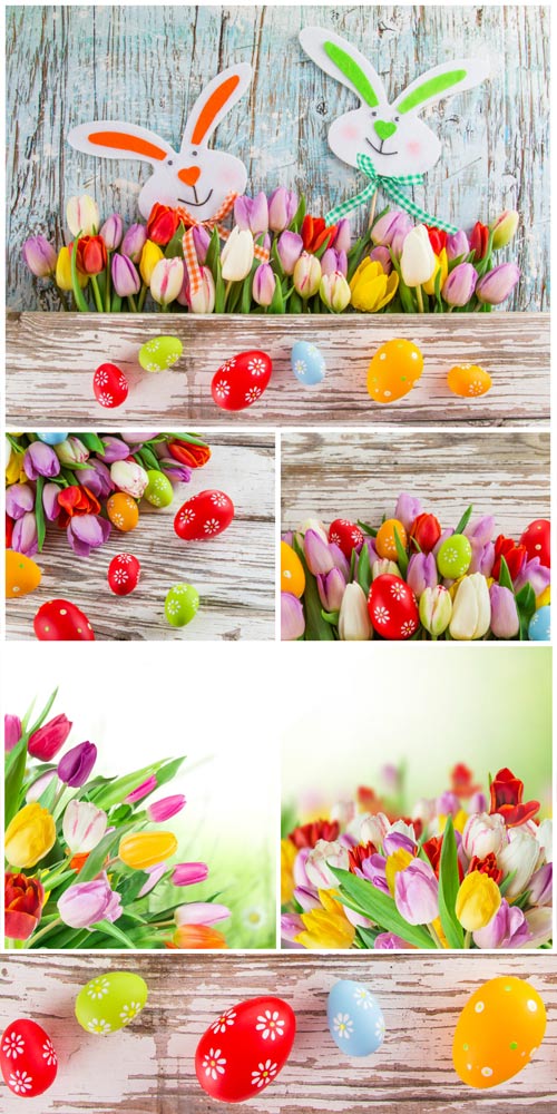 Happy Easter, Easter bunnies and tulips - stock photos