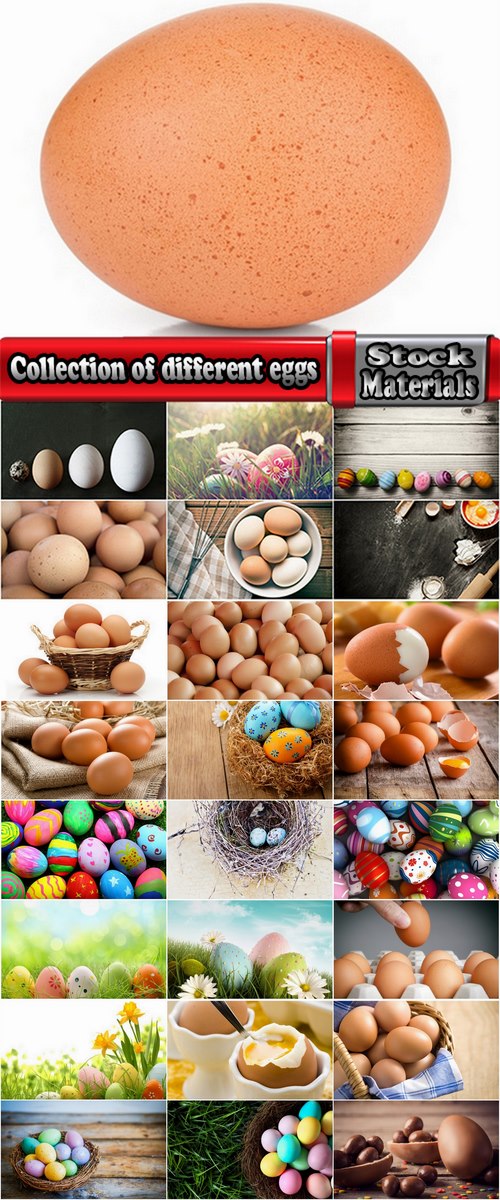 Collection of different eggs in the nest Easter Egg 25 HQ Jpeg
