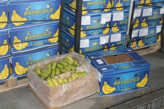 В Беларусь хотели ввезти 20 тонн контрабандных бананов