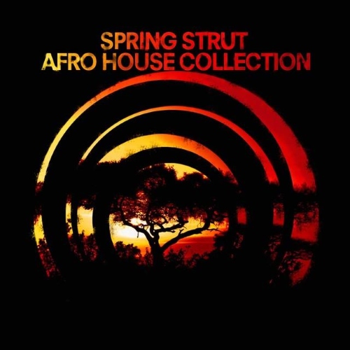 VA - Spring Strut Afro House Collection (2015)