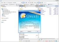 Directory Opus Pro 11.13 Build 5564 Final