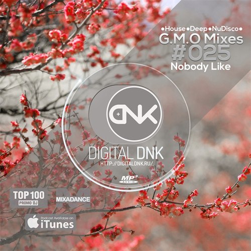 digital DNK - G.M.O Mixes (#025 Nobody Like) (2015)
