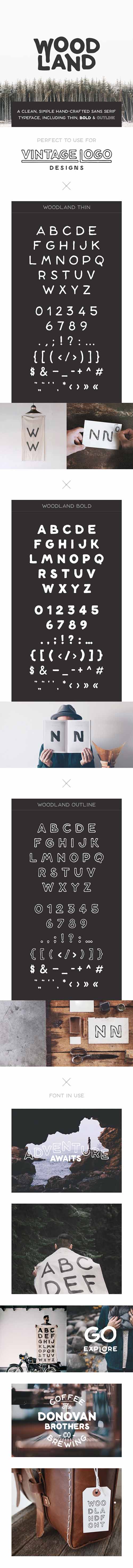 Graphicriver Woodland Font 