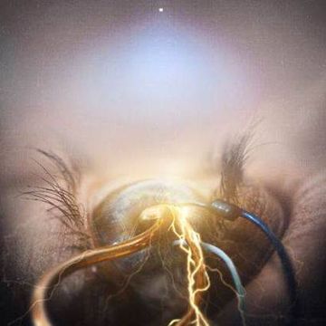 The Agonist - Eye of Providence - 2015, FLAC (image+.cue), lossless