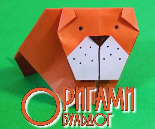  Делаем собачку бульбога - оригами (2014)