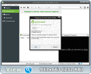 Torrent Pro 3.4.3 Build 40208 Stable RePack (& Portable) by D!akov