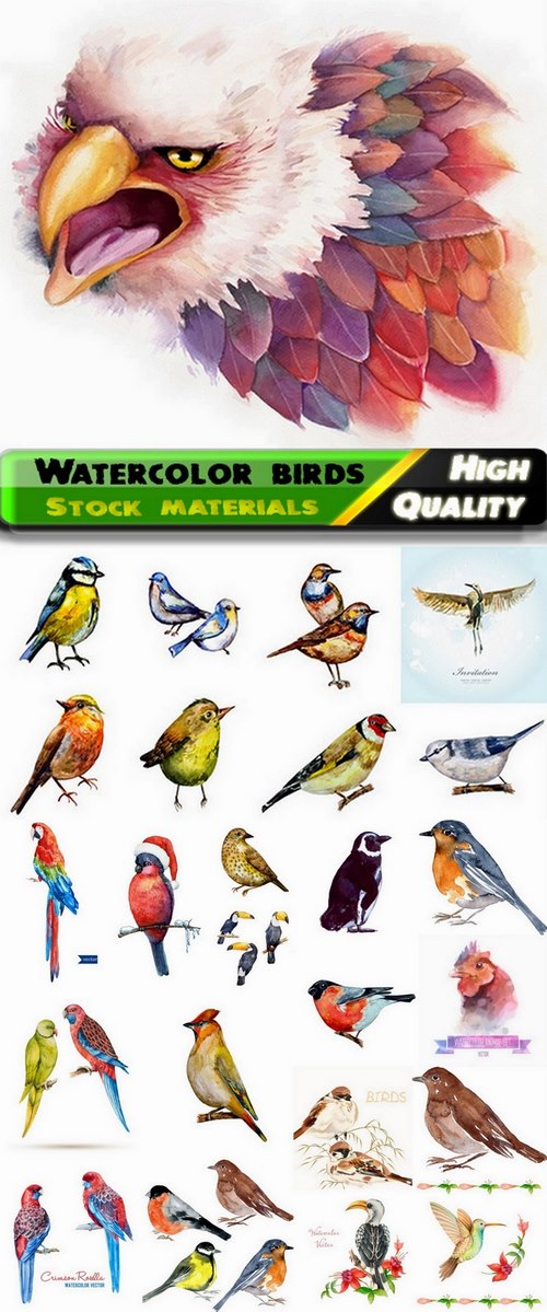 Watercolor art illustration of different birds - 25 Eps