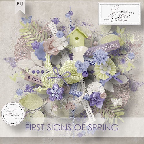 Весенний цветочный скрап-набор для творчества - First signs of spring