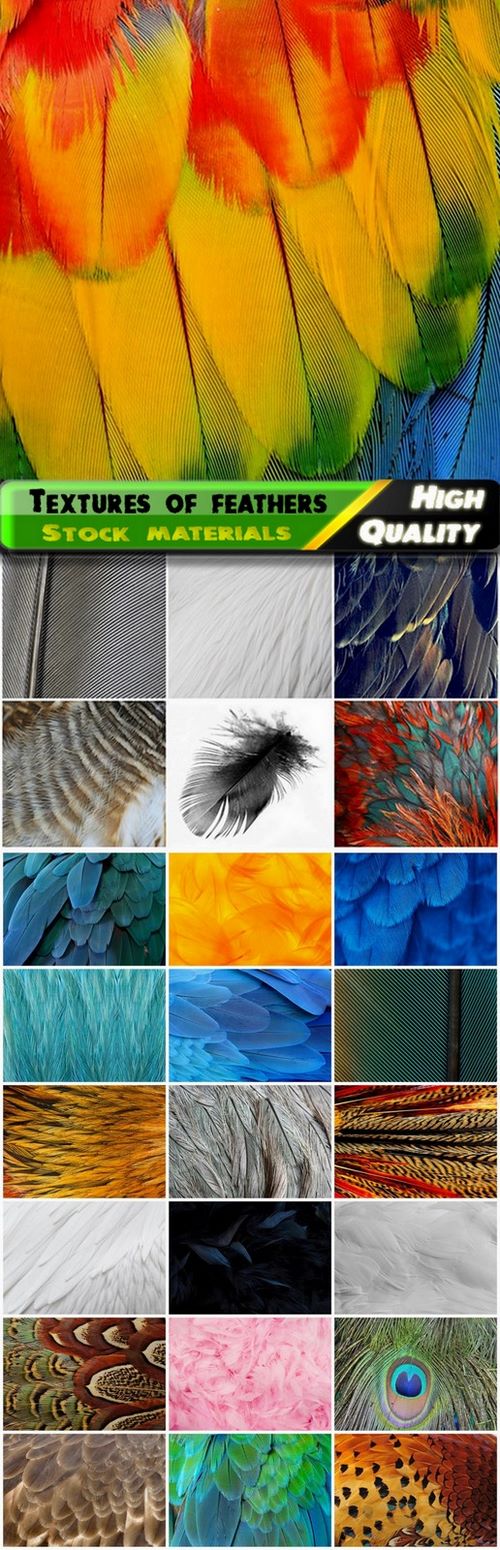 Textures and backgrounds of feathers of birds - 25 HQ Jpg