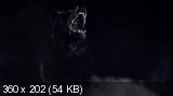 Волчонок / Teen Wolf [03х01-12] (2013) WEB-DL 720p | VO-production