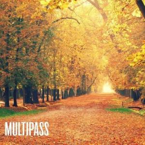 Multipass - Осень Длиною В Жизнь (Acoustic) (2011)