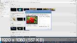 Picasa 3.9.137 Build 69 (2013) PC 