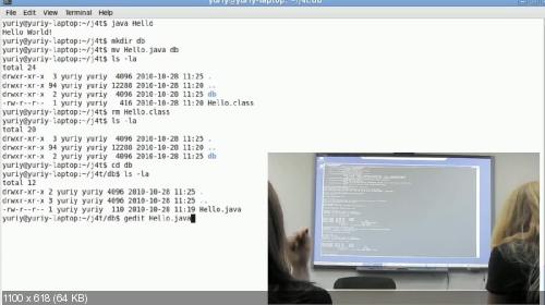 Видеокурс Java для тестировщиков (2010)