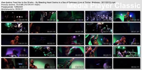 Feed Her to the Sharks - My Bleeding Heart Swims in a Sea of Darkness (Live at Thriller, Brisbane - 30-11-13)
