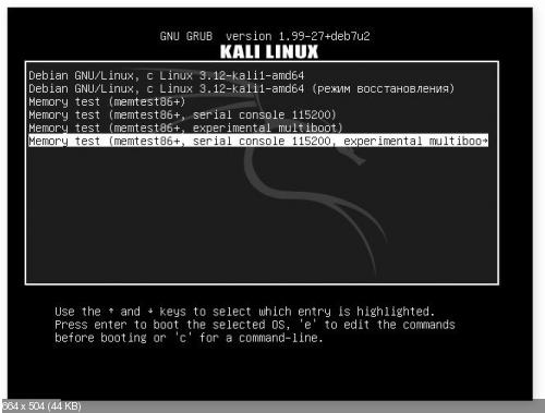Kali Linux 1.0.6 [i386, amd64] 4xDVD