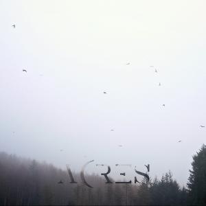 Acres - Overburden [Single] (2014)
