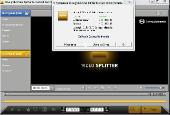 SolveigMM Video Splitter 4.0.1412.10 Business Edition DC 27.01.2015 + Portable