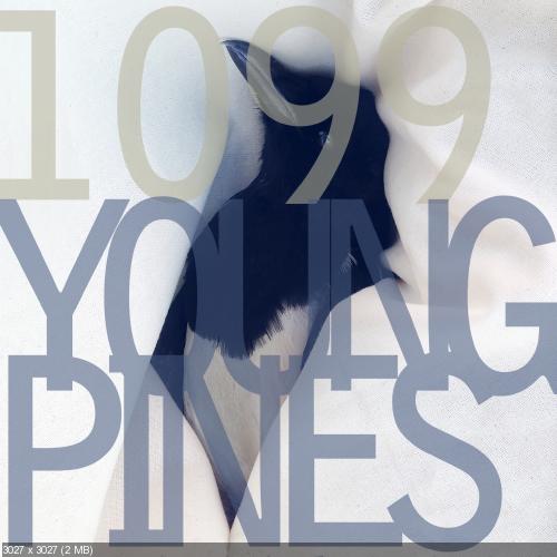 1099 - Young Pines (2015)