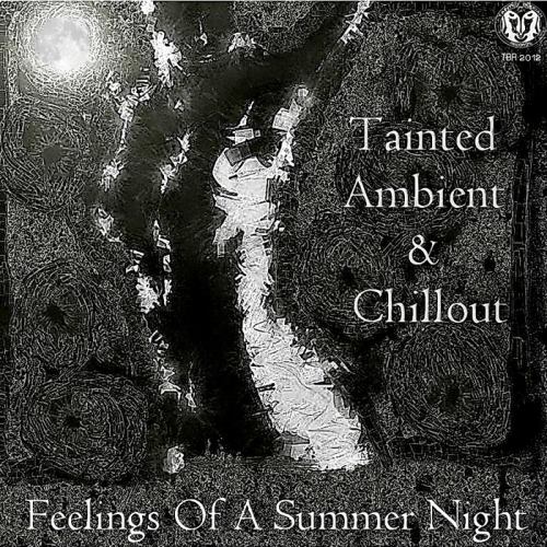 VA - Tainted Guide To Ambient & Chillout - Feelings Of A Summer Night (2012)