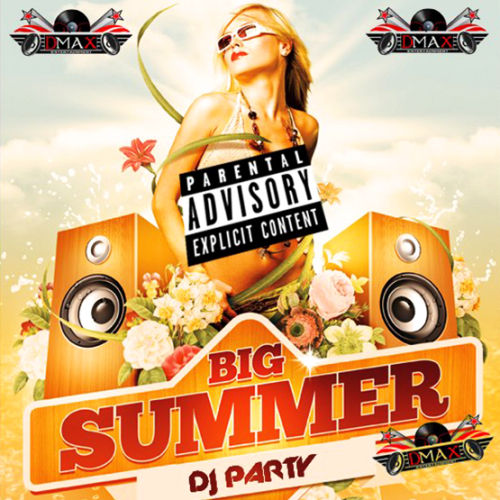 Party Big Summer DJ (2013)